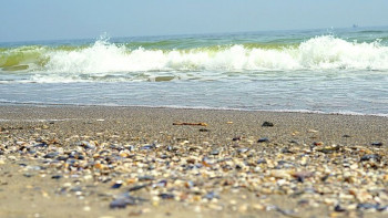 Мини-гостиница в центре Одессы